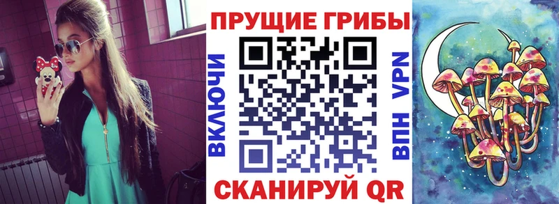 купить наркоту  Новозыбков  Галлюциногенные грибы ЛСД 